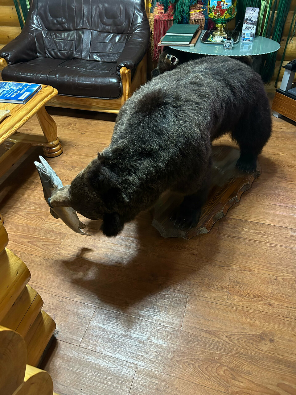 Отель Белка Южно-Сахалинск