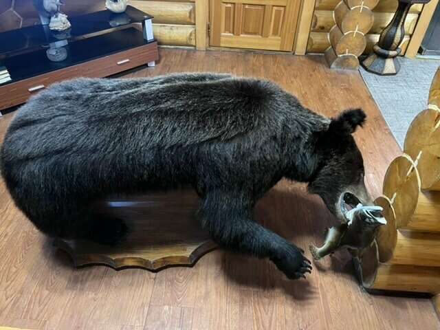 Отель Белка Южно-Сахалинск-246