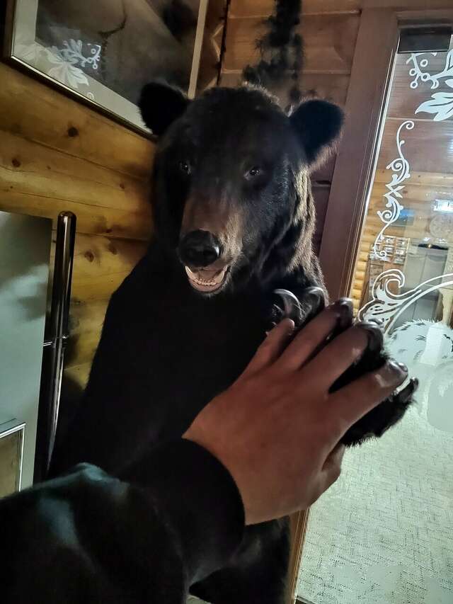 Отель Белка Южно-Сахалинск-217