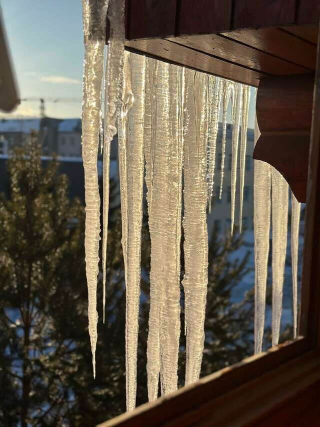 Отель Белка Южно-Сахалинск-221