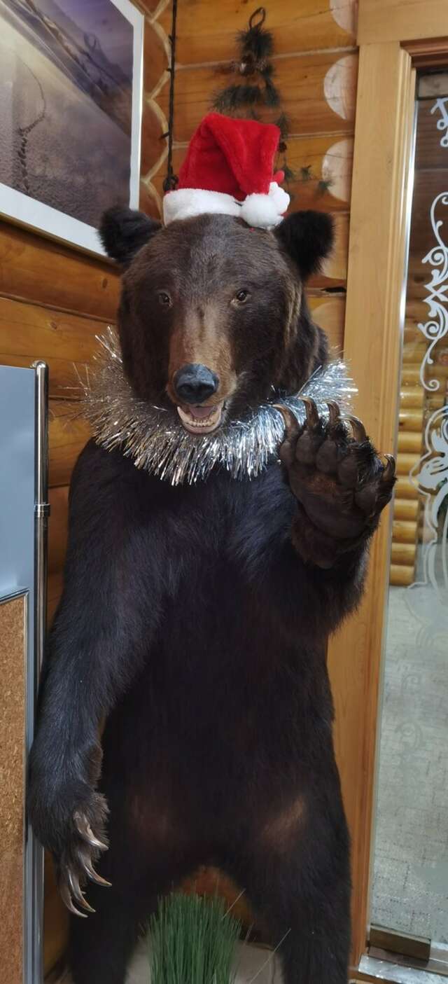 Отель Белка Южно-Сахалинск-249