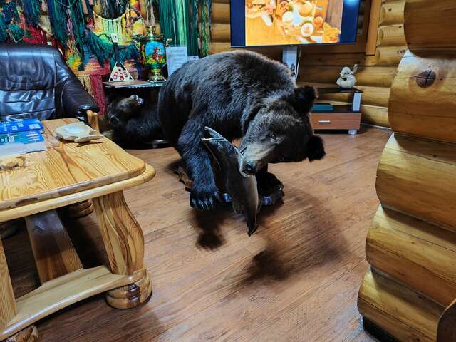 Отель Белка Южно-Сахалинск-230