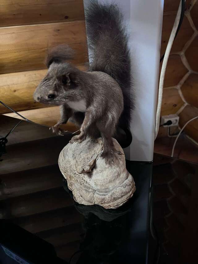 Отель Белка Южно-Сахалинск-144