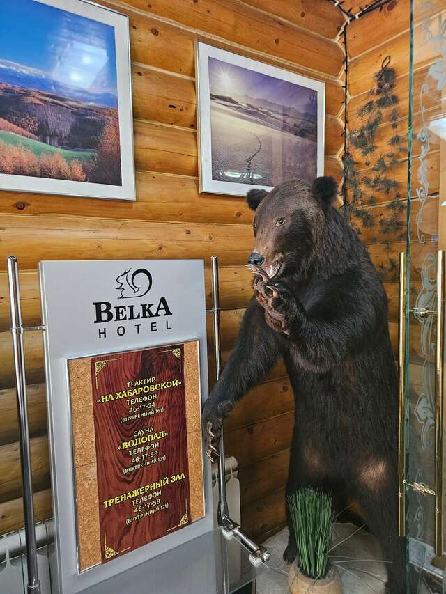 Отель Белка Южно-Сахалинск-214