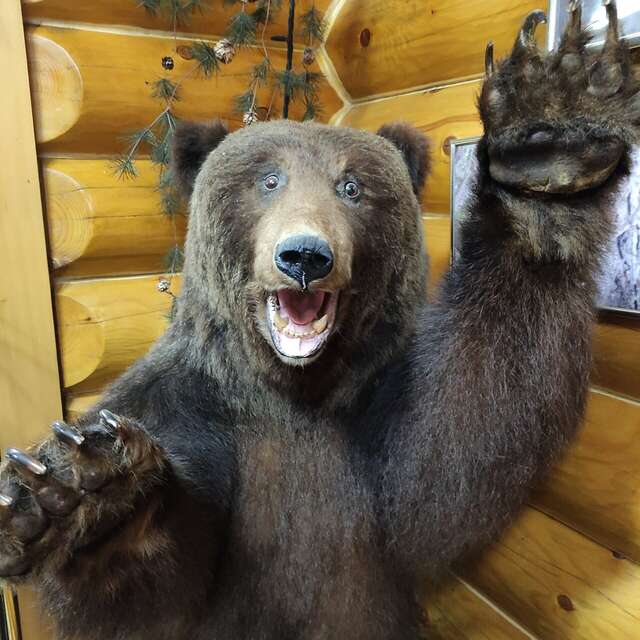 Отель Белка Южно-Сахалинск-182