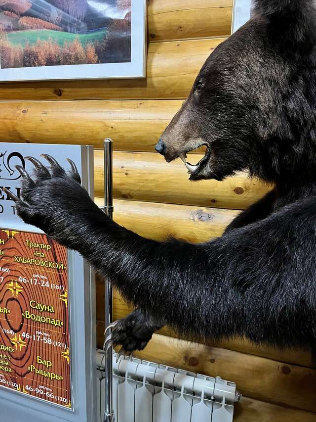 Отель Белка Южно-Сахалинск-243