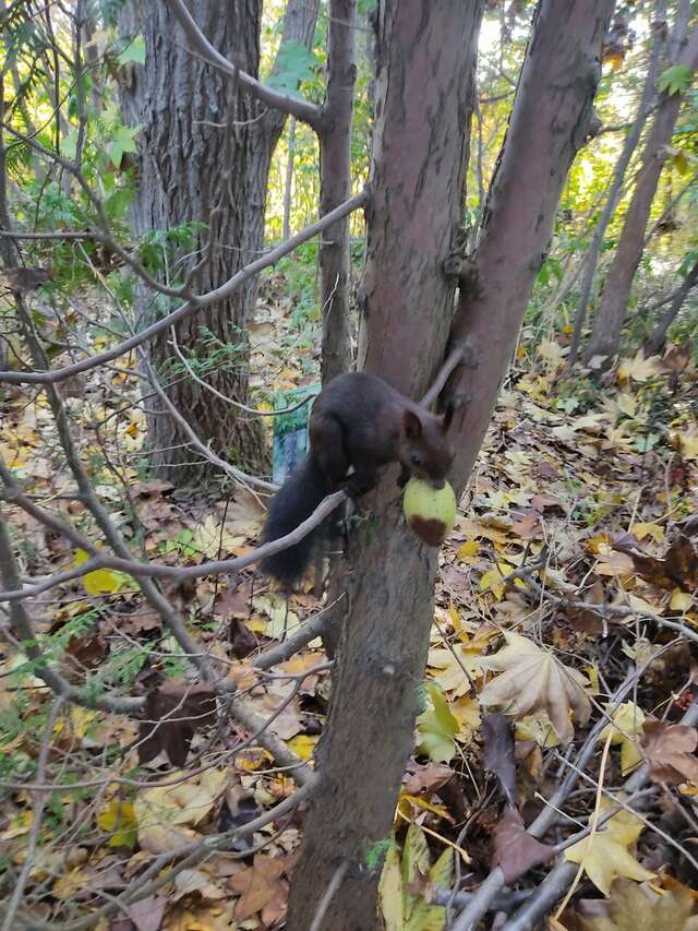 Отель Белка Южно-Сахалинск-175