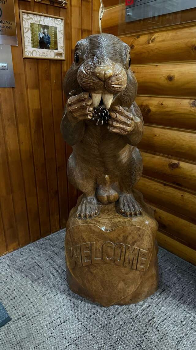 Отель Белка Южно-Сахалинск-242