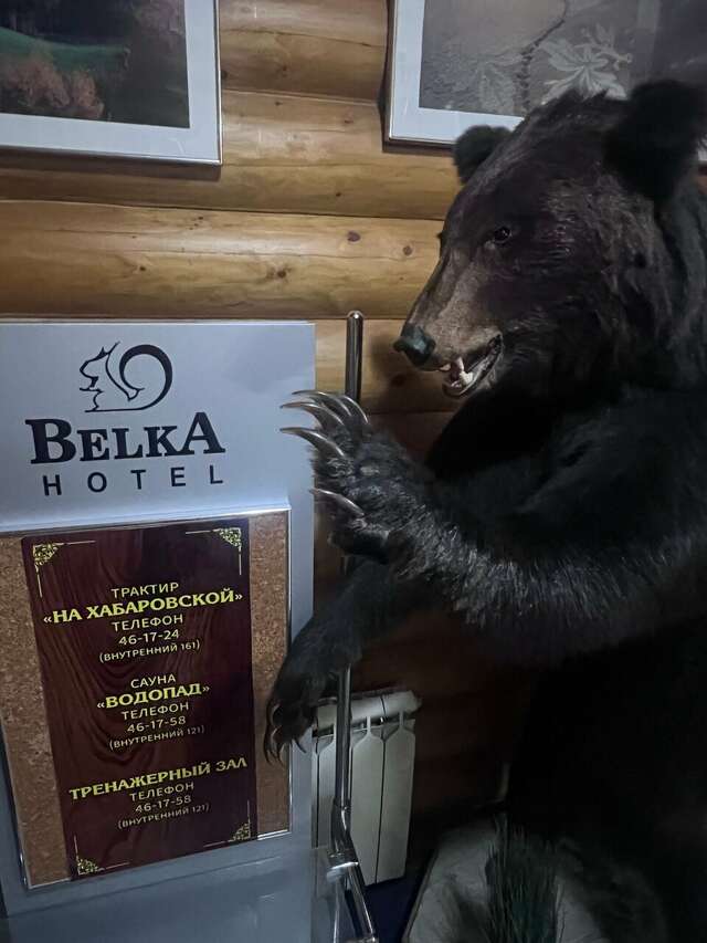 Отель Белка Южно-Сахалинск-169