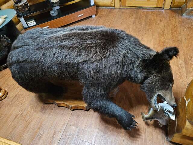 Отель Белка Южно-Сахалинск-174