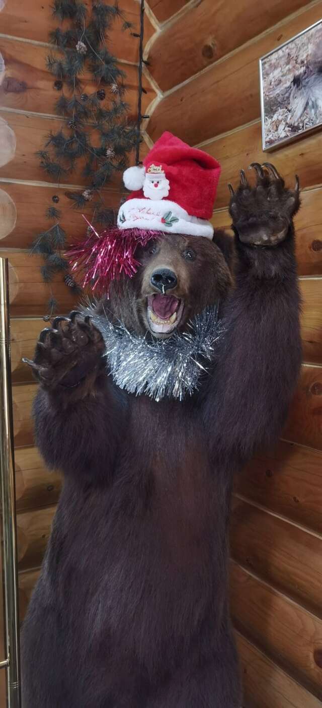 Отель Белка Южно-Сахалинск-201