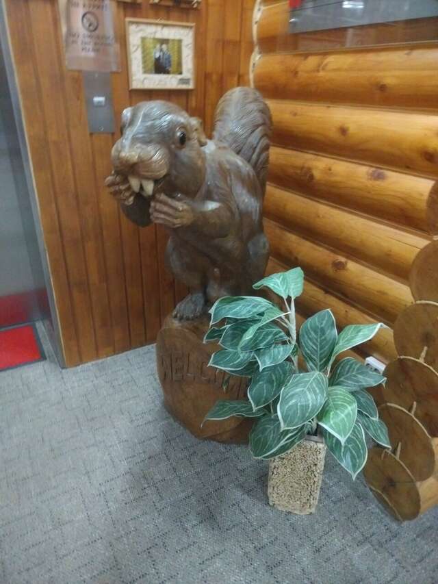 Отель Белка Южно-Сахалинск-212