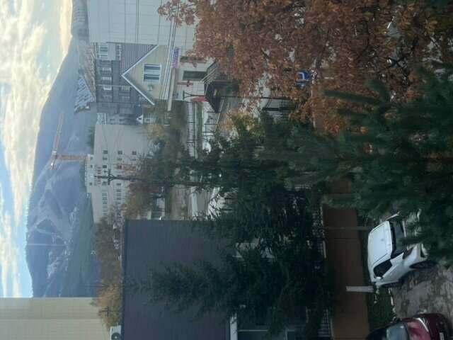 Отель Белка Южно-Сахалинск-251