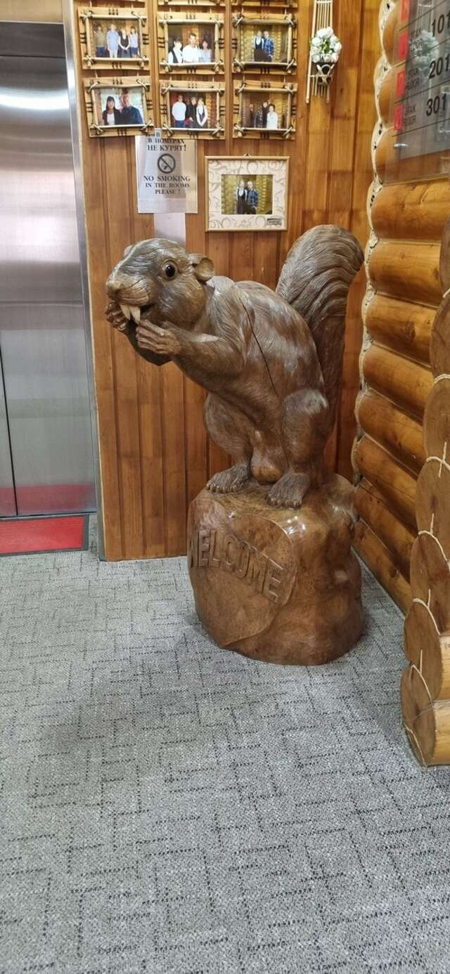 Отель Белка Южно-Сахалинск-155