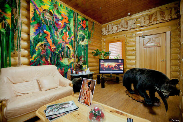 Отель Белка Южно-Сахалинск-185