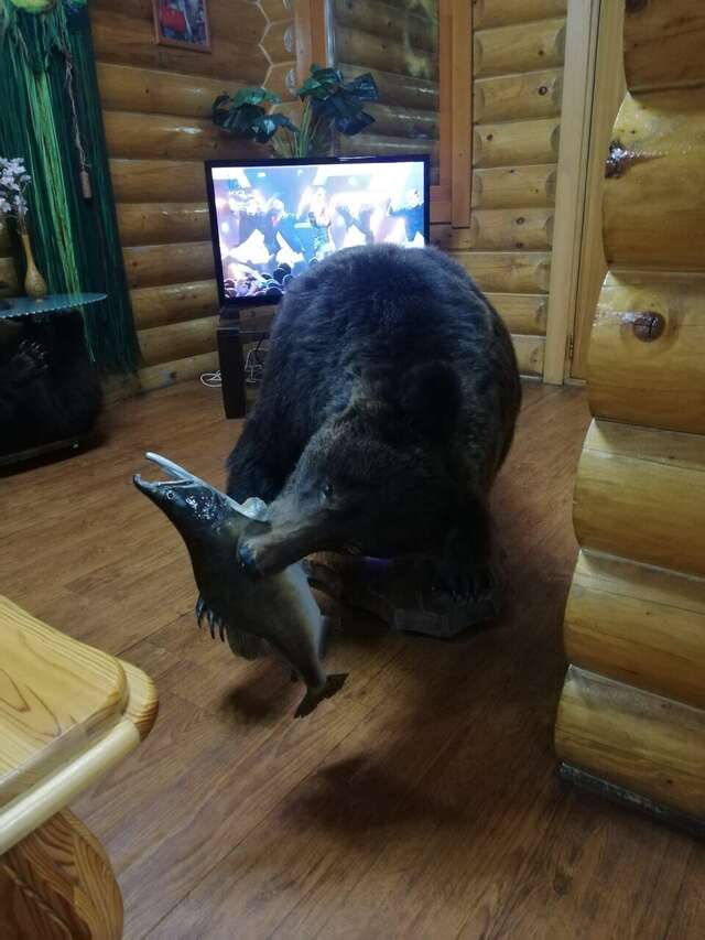 Отель Белка Южно-Сахалинск-223