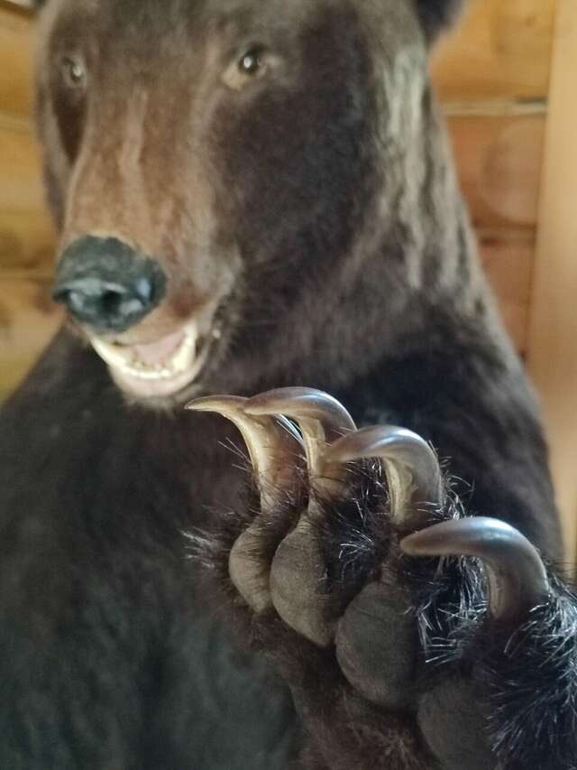 Отель Белка Южно-Сахалинск-149