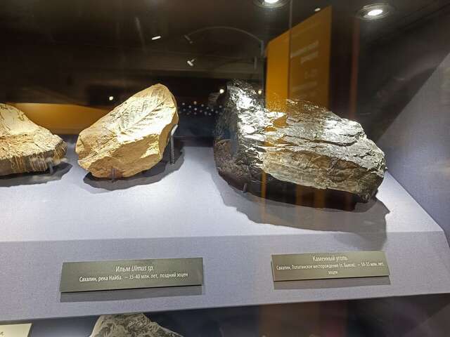 Отель Белка Южно-Сахалинск-173