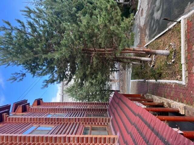 Отель Белка Южно-Сахалинск-209